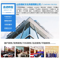 山東蜂蟻專業品牌 濟南慶典策劃報價與國內文化藝術交流活動策劃全解析