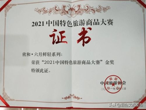 第三屆山東省文化和旅游商品創新設計大賽煙臺獲佳績 1金2銀2銅閃耀賽場，助推文化藝術交流創新